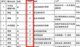 短视频脚本范例,轻松打造爆款内容秘籍